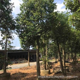 ����ֱ�N ���� ���� ��� ����� ���G�� ��Ҏ�� �G����ľ��r