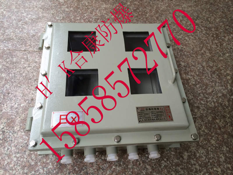 斯菲尔仪表防爆箱