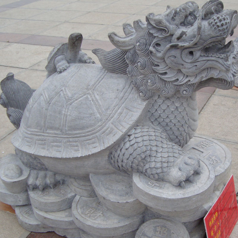 动物-青石龙龟.JPG