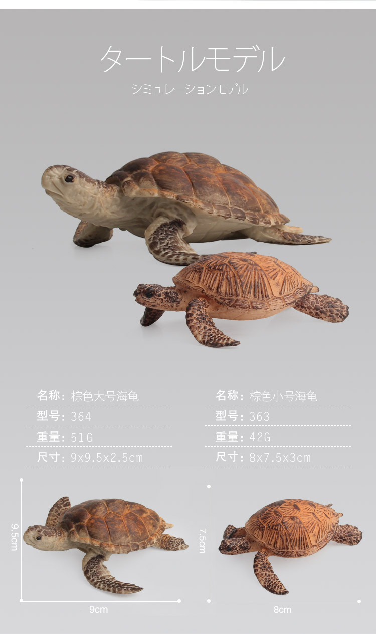 海龟模型_02