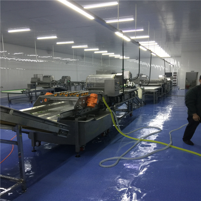 山野椒蔬菜气泡清洗机 野菜清洗机生产厂家 水果蔬菜清洗机流水线