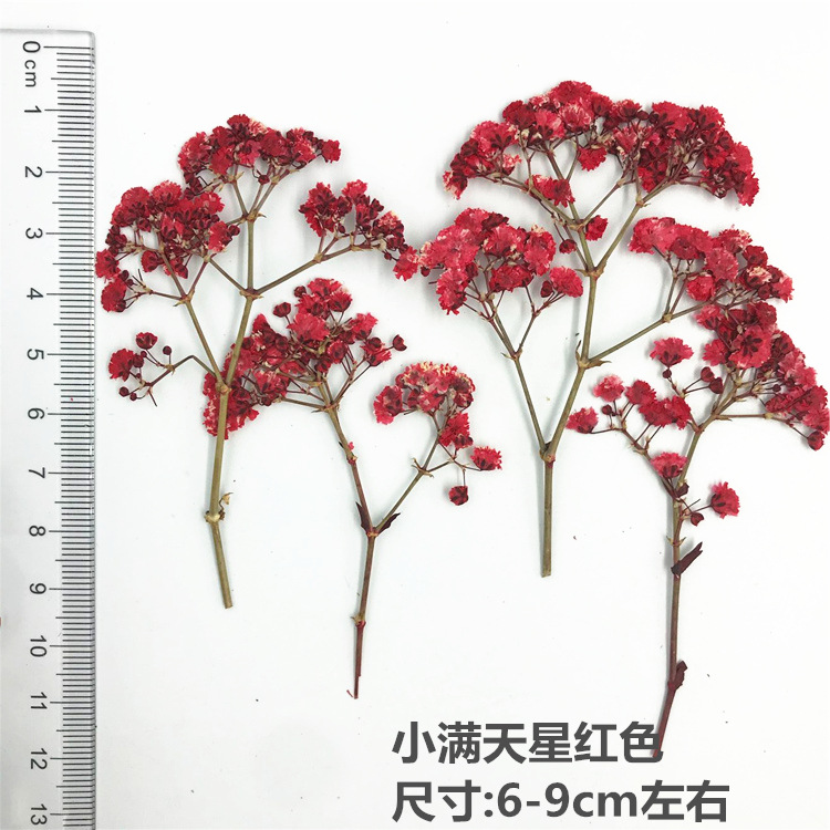 QQ图片20181210201103