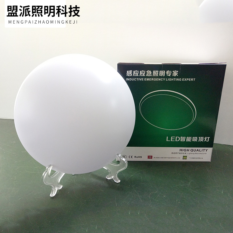 特价12W雷达感应灯led楼梯过道走廊灯红外人体楼道入户玄关吸顶