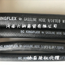 ̨SC KINGFLEX ߉͹ܡ ȼ͹ ͘ ϴC