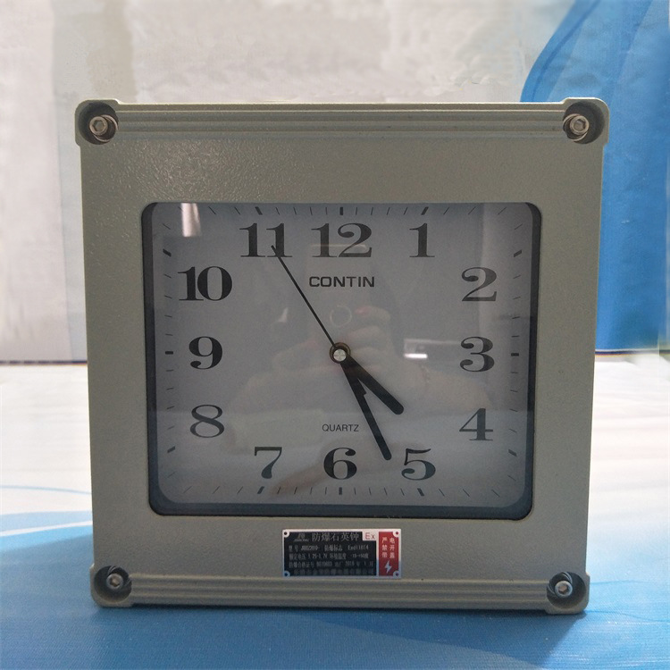 固泰BSZ2010型防爆石英钟化工制药厂用防爆钟表加厚型壁挂式铸铝