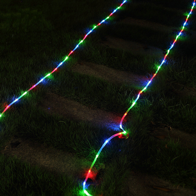 3186539443_104069812