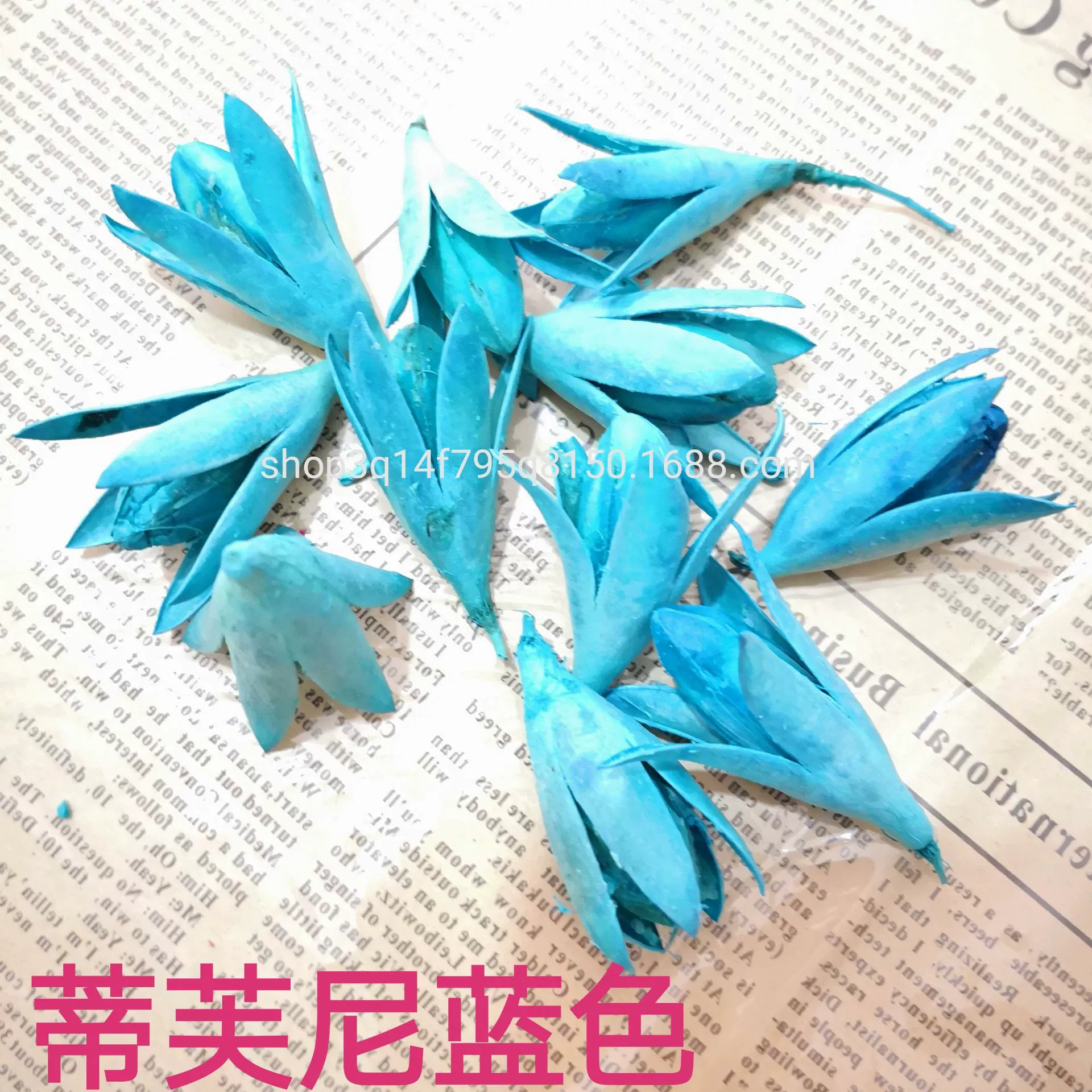 [Magnolia] Manufacturer supply naturally toon fruit shell Magnolia dried magnolia flower DIY handmade flower combination flower material