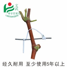 文武包装第三代园林扎丝绑线绑枝塑扎带铁丝藤蔓枝条露天葡萄