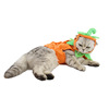 Ji Zai Pet Products Factory Dog Hat wholesale Pumpkin Set Pumpkin Festival Halloween cat jewelry clothing
