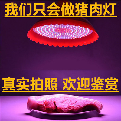 LED超市水果燈生鮮燈豬肉燈海鮮燈鹵菜熟食燈冷鮮肉燈 插珠照肉燈