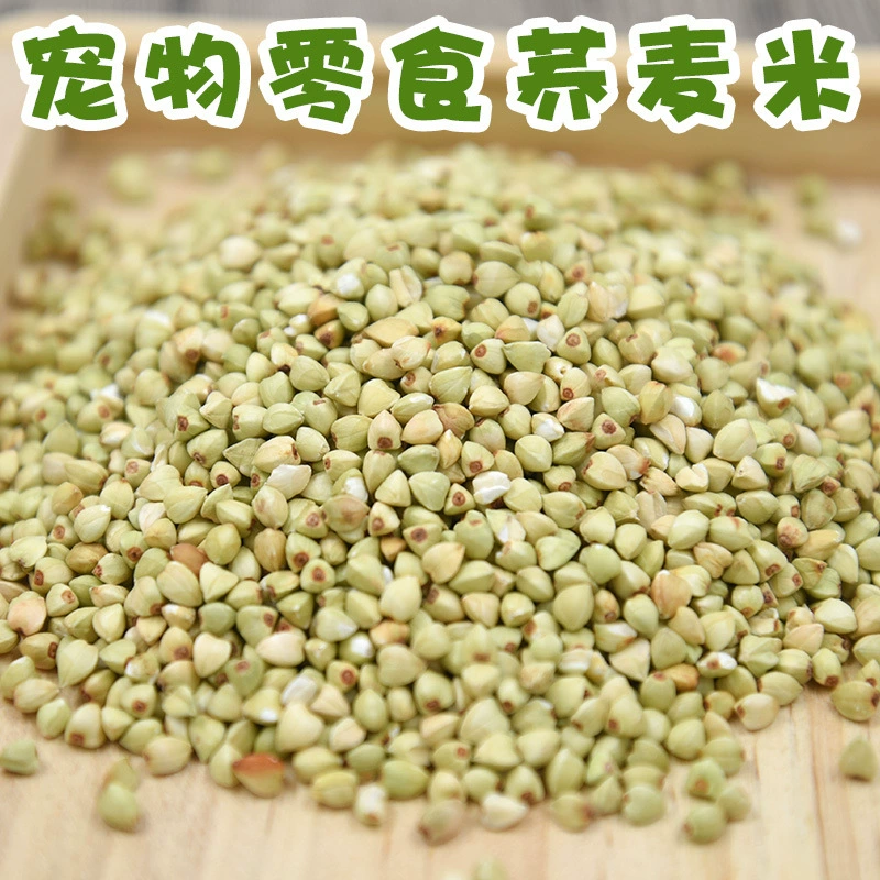 Хомяк закуска пилинг гречневые зерна голубь птица хомяк кролик Шиншилла маленький питомец смешанные зерна 500 г