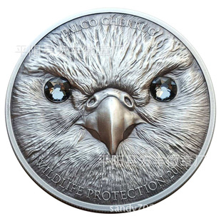 �ɹ�Ұ�������荼o����y��13���ղ����ګ@��Ӳ�ž��¹�ˇƷ