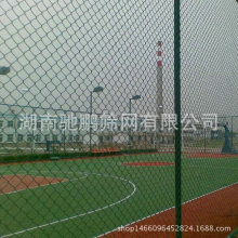 ��ײ����o�ھW ��������F�z�o�ھW ���߅�򹴻��o�ھW