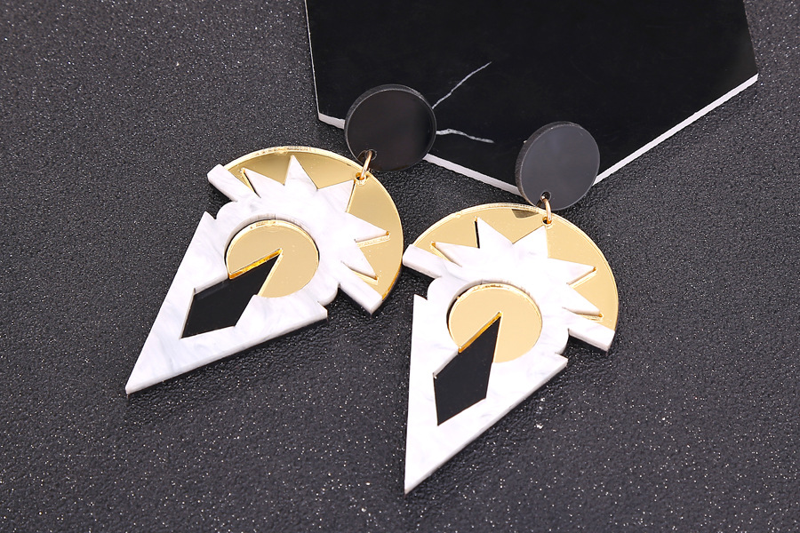 Hot-selling Geometric Retro Acrylic Hot-selling Earrings  Wholesale display picture 4