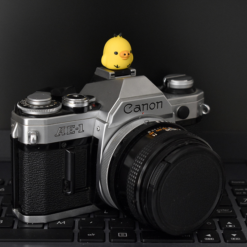 猪小鸡热靴盖 (7).JPG