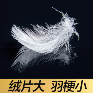 �S��ֱ�N2-4cm����ëƬ���l���坍�ȟo��ζ��о����ëƬ4-6cm����