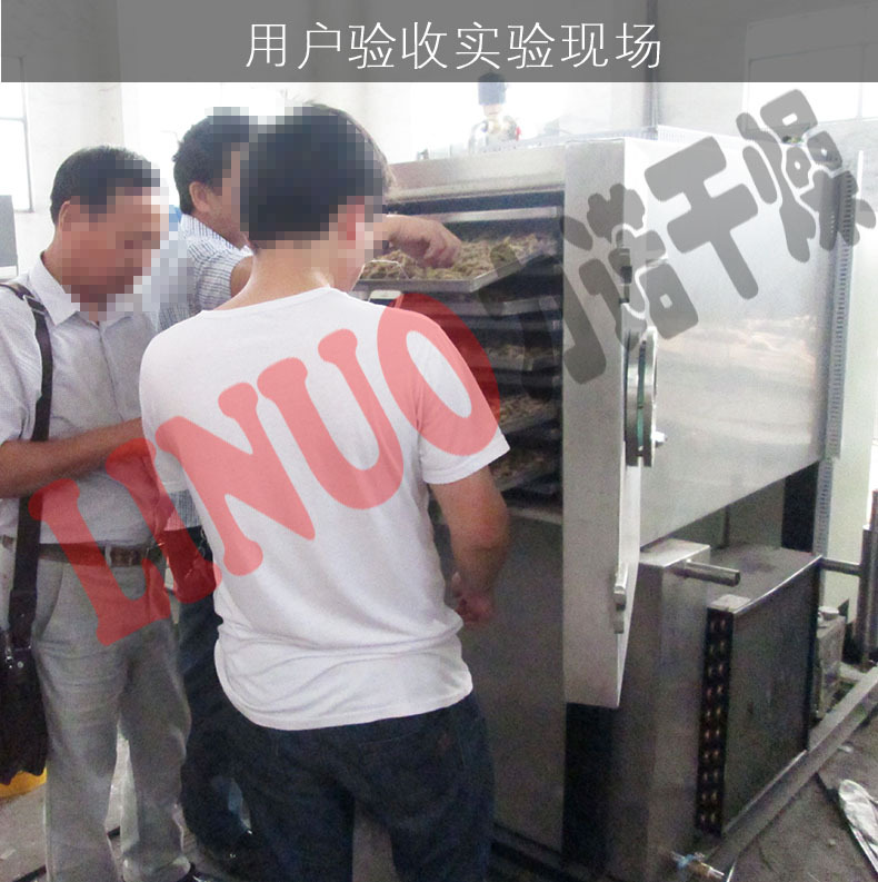 有机蔬菜用小型冻干机 花菜萝卜丁用不锈钢真空冷冻干燥机