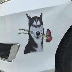 New Funny Husky Emoji Sticker, Personality Scratch Creative Two Husky Eye Flashlight Car Sticker