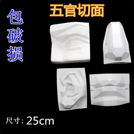 石膏像;其他美术用品;画夹画板