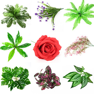 ֲ����С�ѻ������bپGֲ����Gֲ��������˹�~�b廨