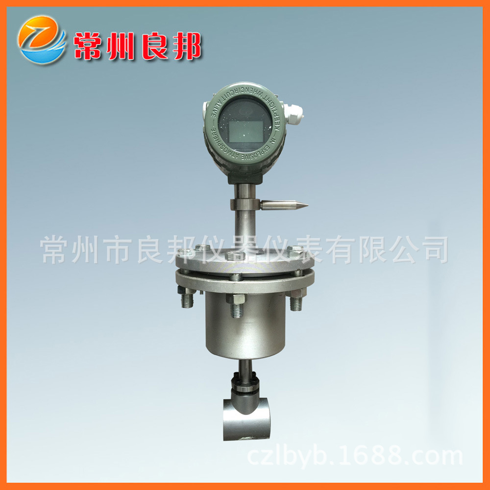 厂家供应DN300插入式涡街流量计 大口径管道蒸汽累积读数