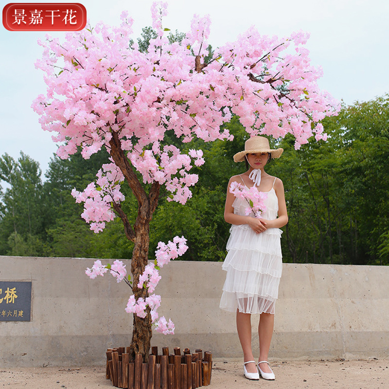 沭阳县景嘉干花工艺品厂