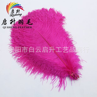 �S��ֱ�N���|���U45-50cm�Ϸ��M���r�Bë ����o�� ��c�b�