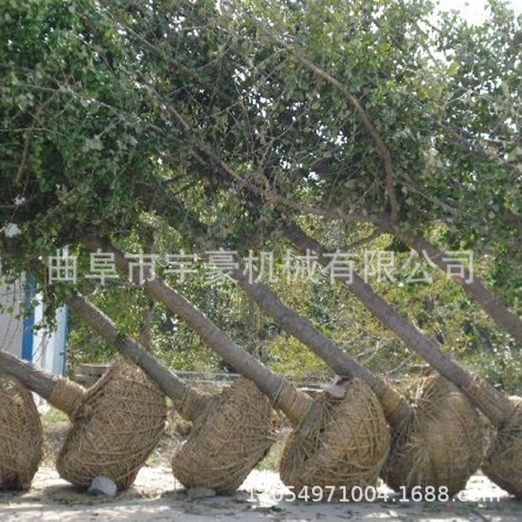 汽油手提式挖树机便携式起树机价格