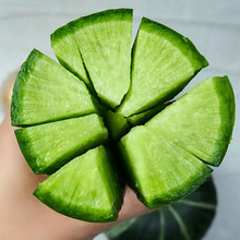 Hao Jiaji Weifang Trái cây Củ cải Sơn Đông Đặc sản Củ cải xanh Rau tươi Gói 5 kg Gói Rau quả tươi