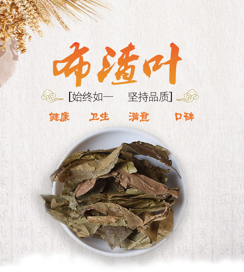 Bu Zha Ye (Microcos paniculata) — Dried Food Herb Leaves for Tea & Soup overview