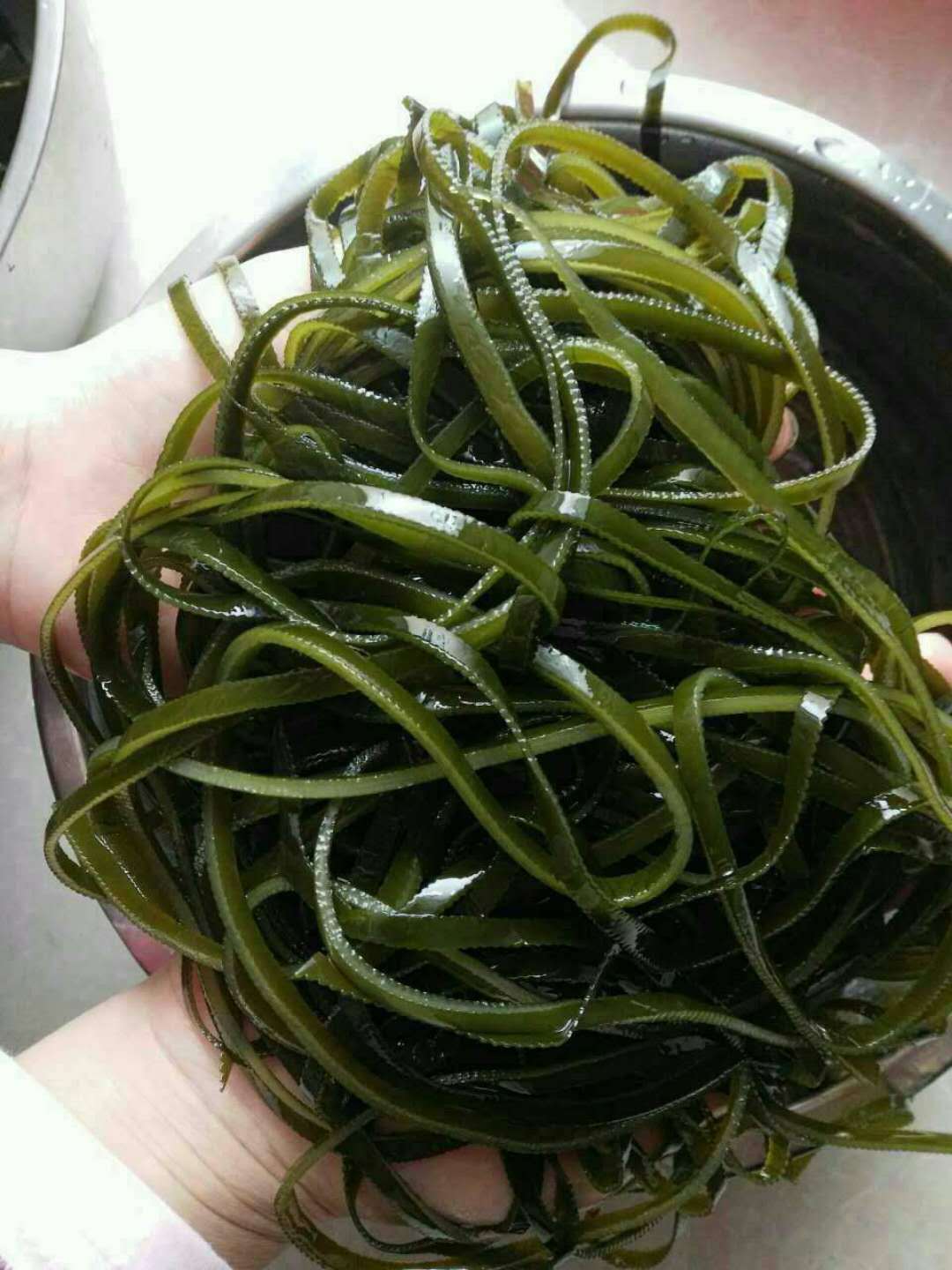 出口级免洗海带丝