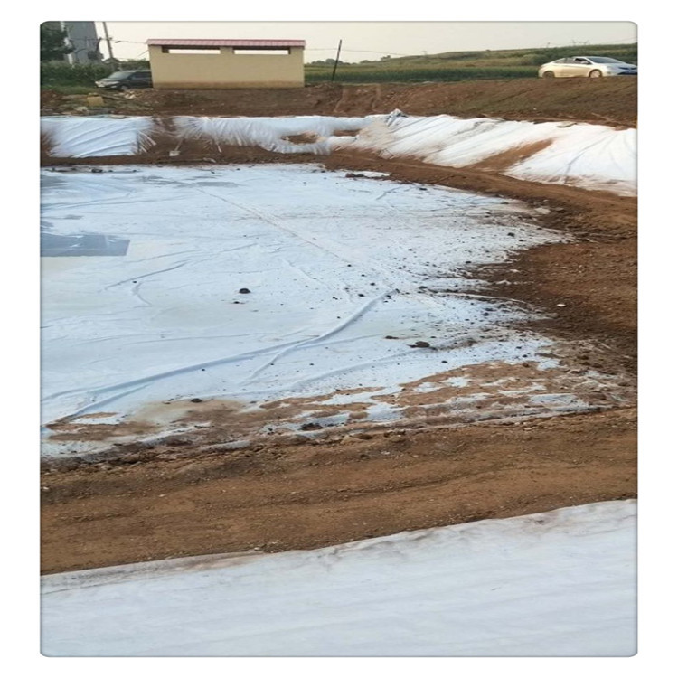 水库蓄水池鱼池养殖膜鱼塘布防水膜两布一膜一布一膜支持尺寸