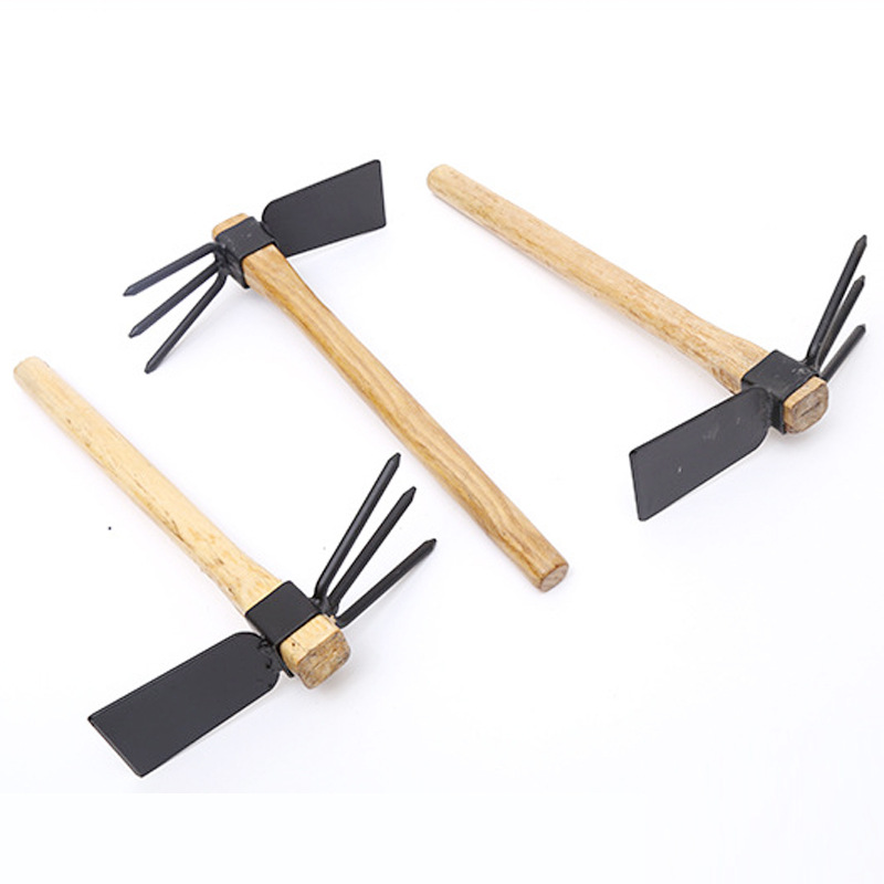 3759343510_1578675911