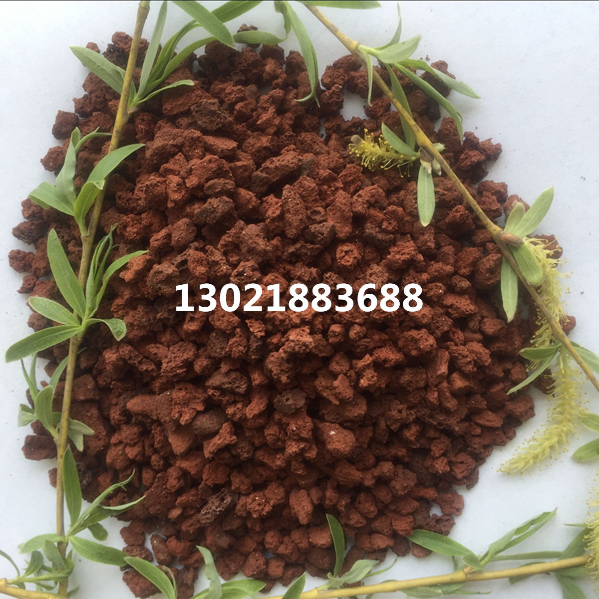 QQ圖片20180327103757_副本