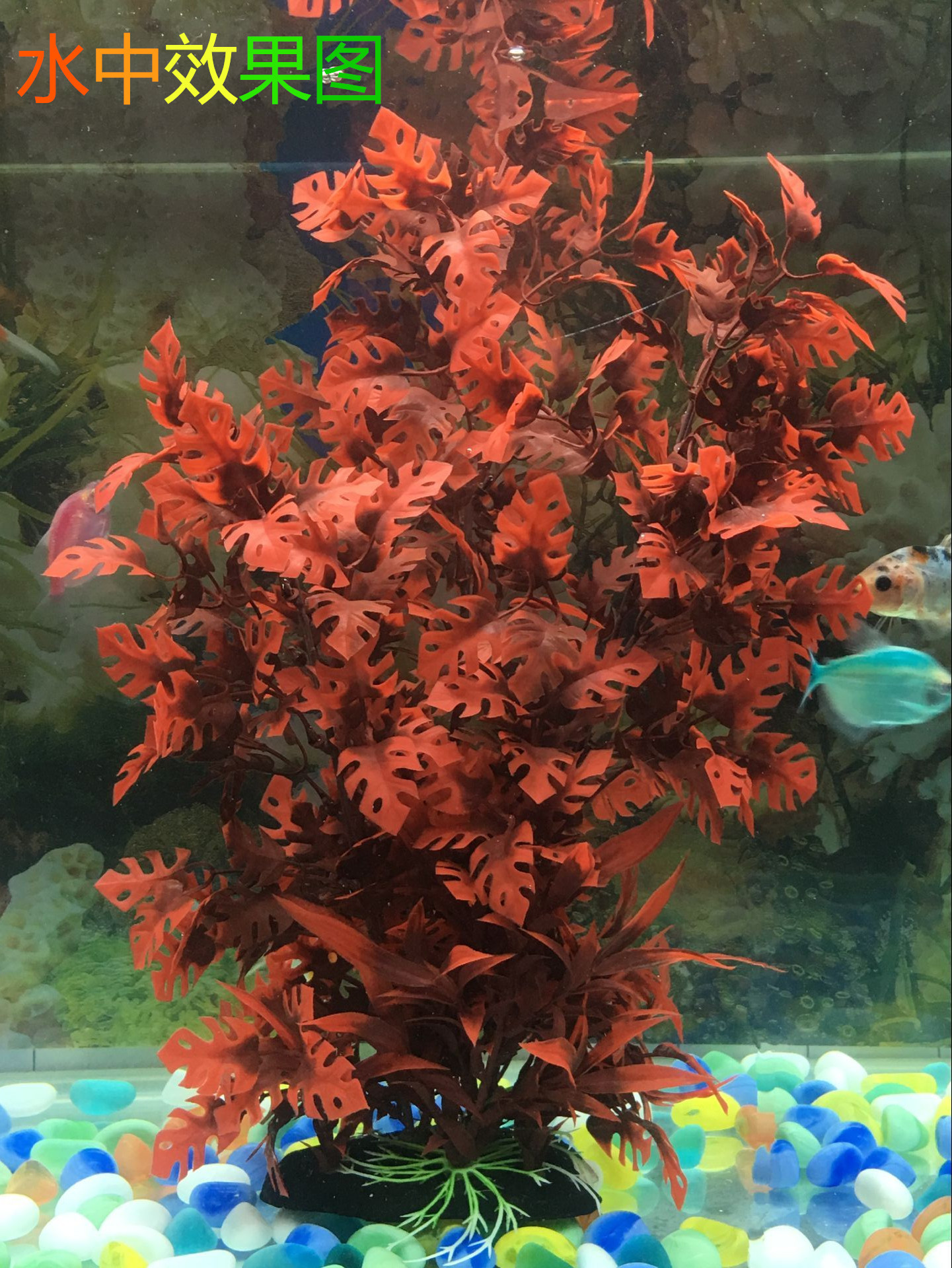 QQ图片20180804145612