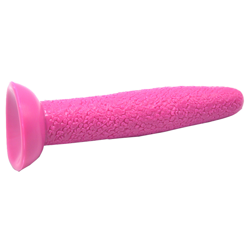 Anal Plug Image 16