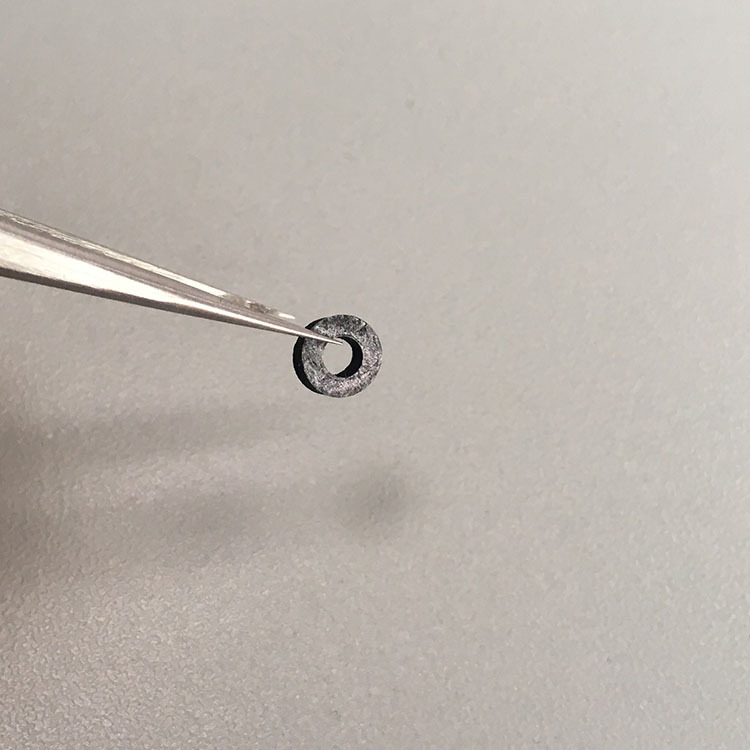 רҵӹɫСͷߵEVA޽׼ʱ