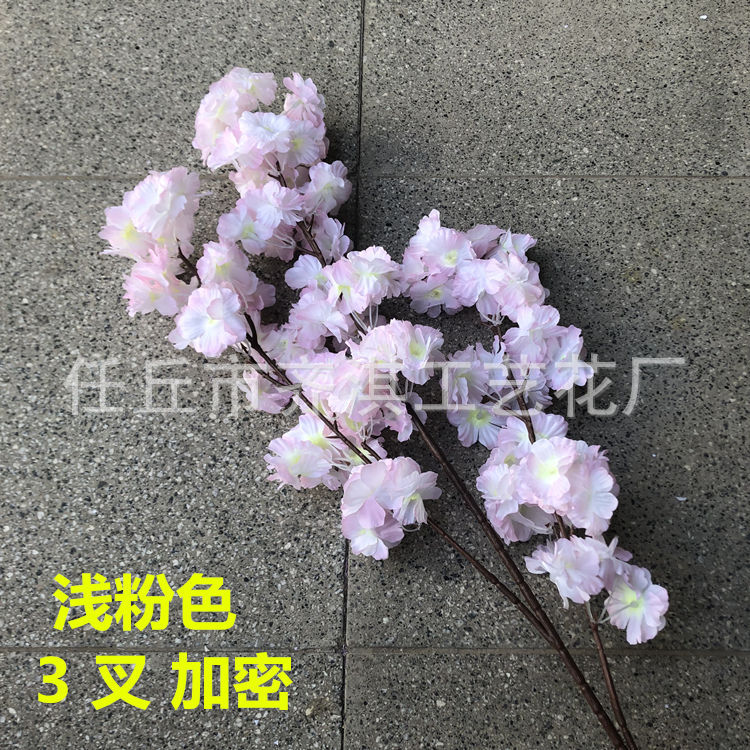 樱花只