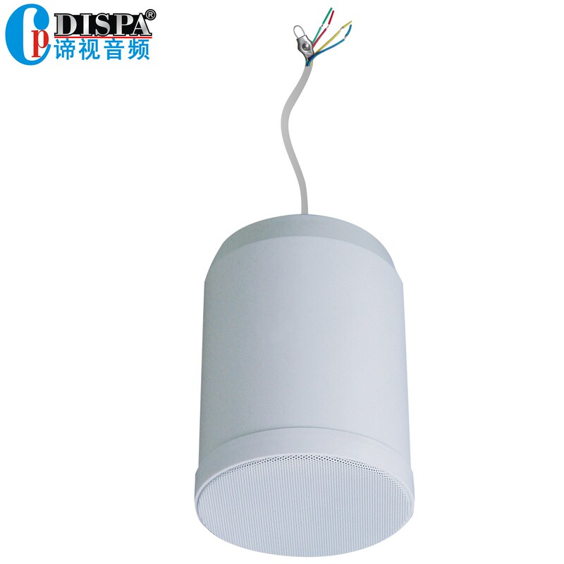 Network broadcast indoor brand ceiling speaker constant pressure hanging ball speaker background music hanging bucket audio 10W