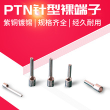 针形接线鼻子PTN2-10插针型冷压铜接线端子PTN2-12铜线耳PTN2-18