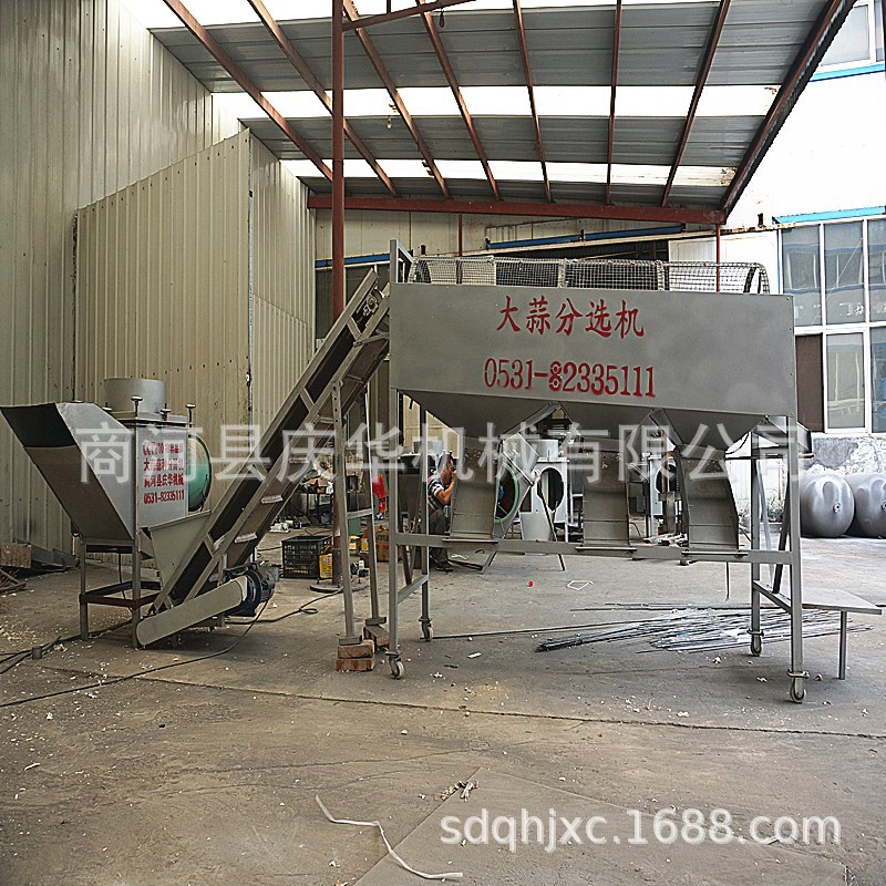 山东大蒜蒜种分瓣机   蒜种剥瓣机   扒瓣机   大蒜掰瓣机