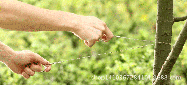 2568027880_738222187123456789_