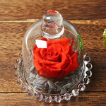 Вечная жизнь закрывается фестиваль подарок день рождения творческий подарок роз вечная жизнь цветок стекло Крест -Борандер источник товаров оптовая торговля