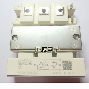Module électronique SKM145GB123D - Neuf D'origine - 1 Pièce