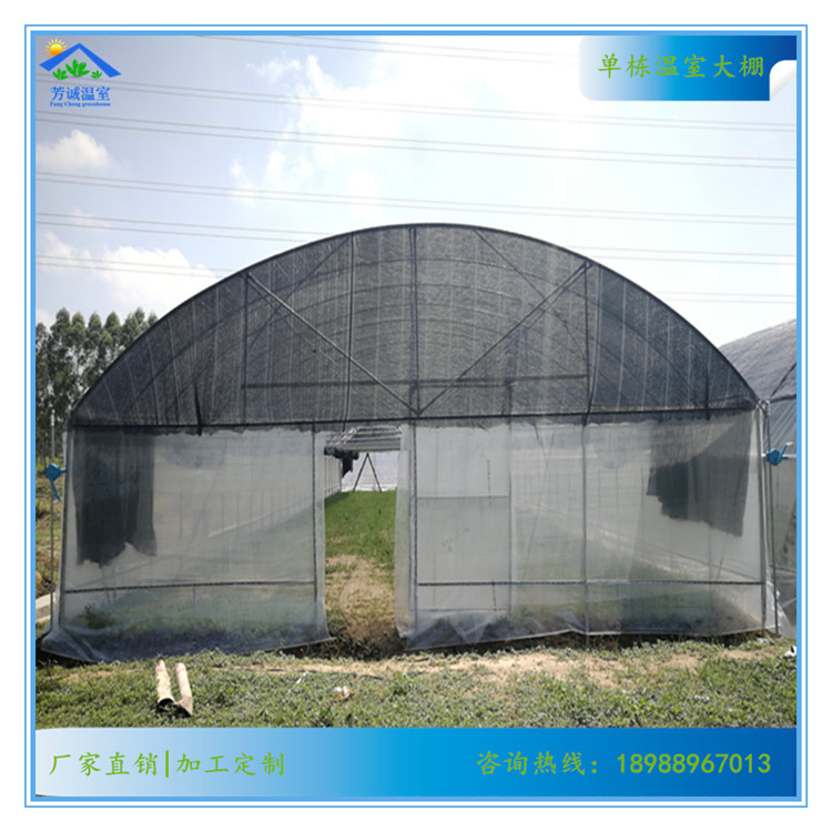 热镀锌农业大棚钢管 果蔬单栋温室大棚 大棚骨架厂家供应包工包料