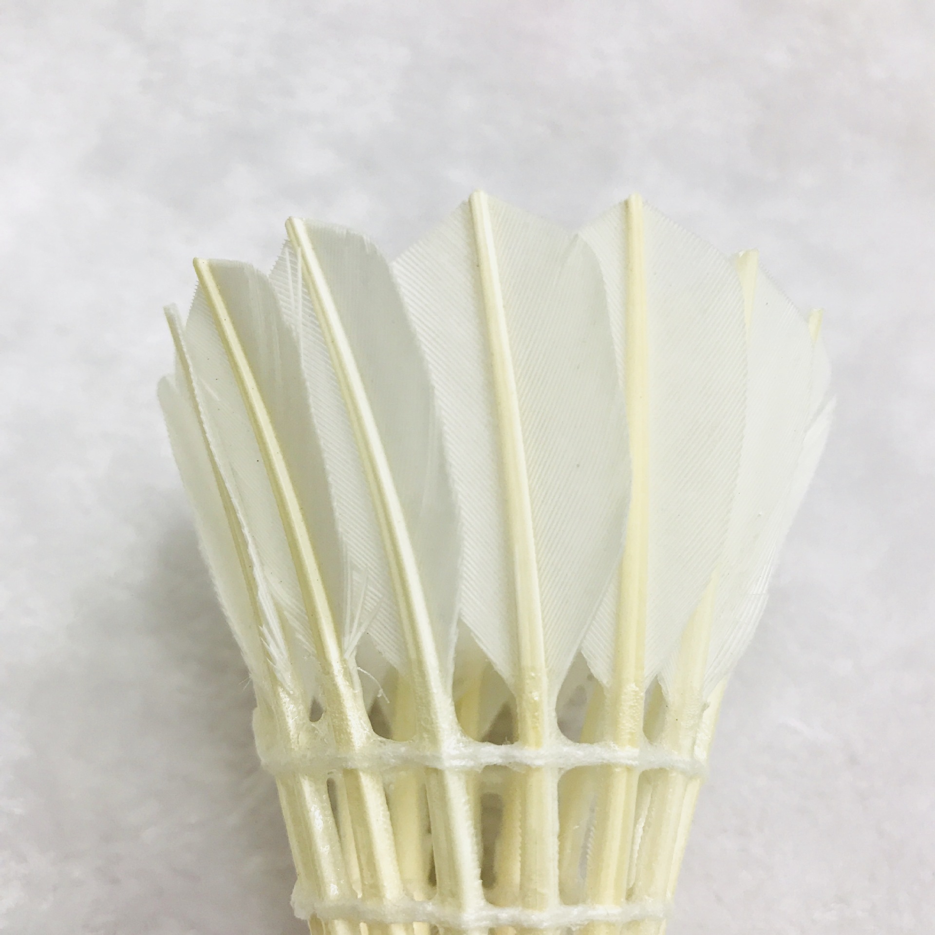 IMG_3101(20180305-110800)