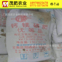 �}�V�׷� �r�Y���l�� �׷� �}�V�׷� �V�� �����N��