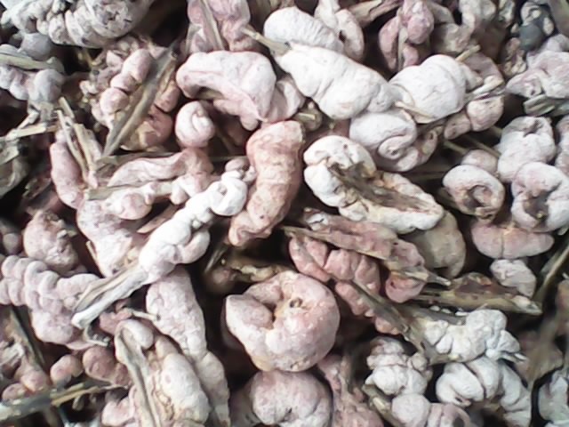 mmexport1505013958770