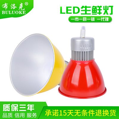 布洛克led生鲜灯猪肉灯 市场海鲜灯超市熟食水果档吊灯彩色工矿灯