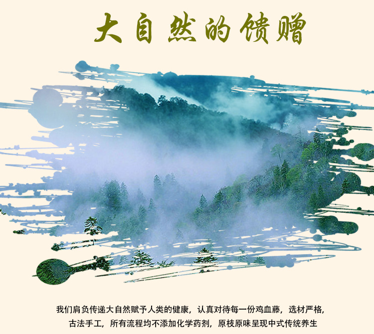 Ji Xue Teng Slices (Spatholobus suberectus) — Dried Blood-Vine Stem for Herbal Tea & Soup overview